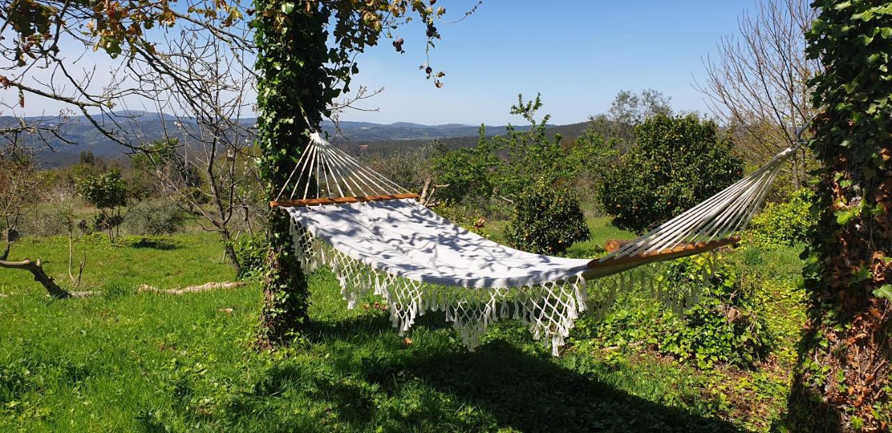 Casa Belavista Penela - Charming Guest House - Adults Only المظهر الخارجي الصورة
