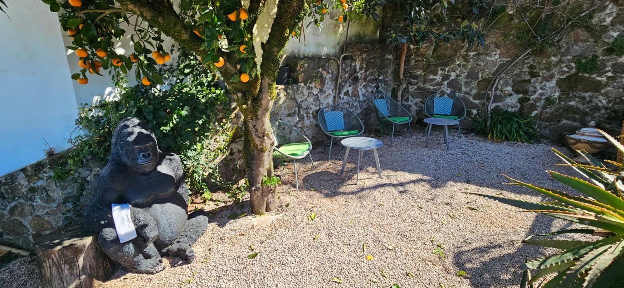 Casa Belavista Penela - Charming Guest House - Adults Only المظهر الخارجي الصورة